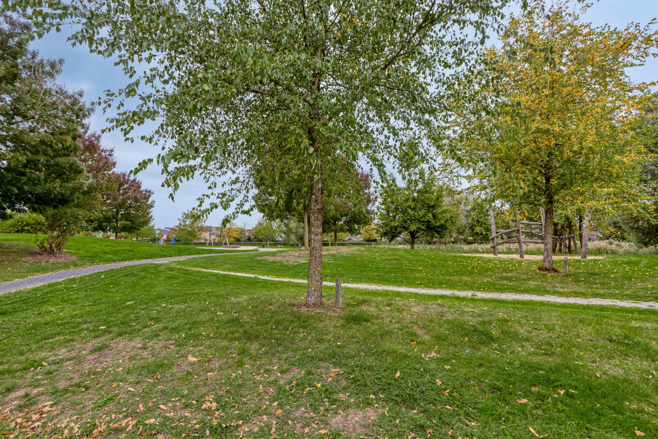 Diemewei46046605XJWijchenNL-27